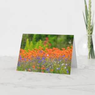 Explosion der Farbe Karte