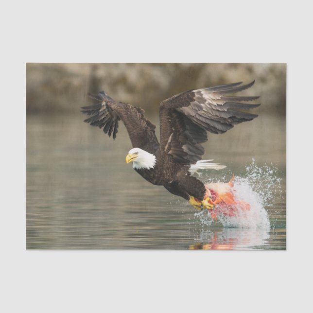 Explosiver Weißkopfseeadler Seidenpapier (Vorderseite)