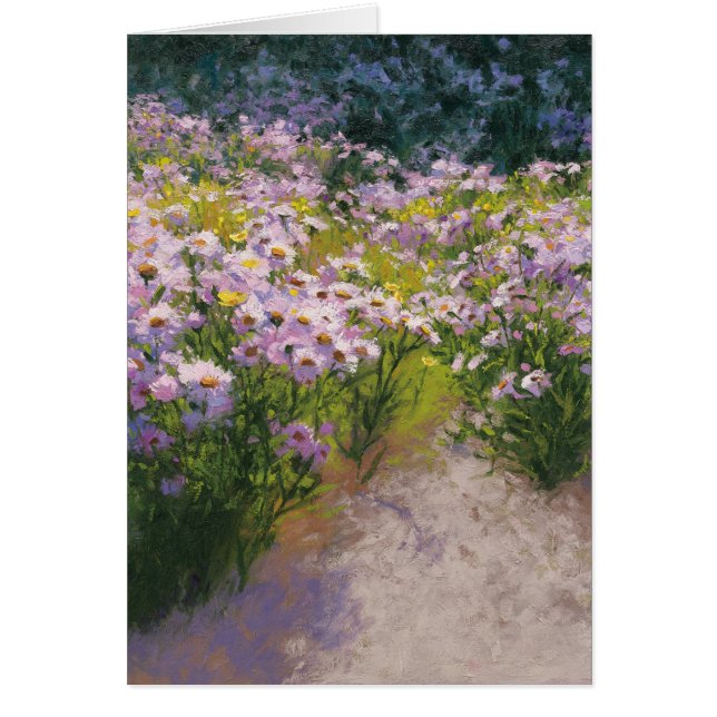 Exposition d'aster de Buckhorn (Devant)