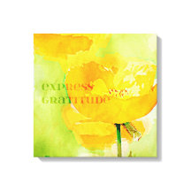 Express Dankbarkeit Orange Poppy