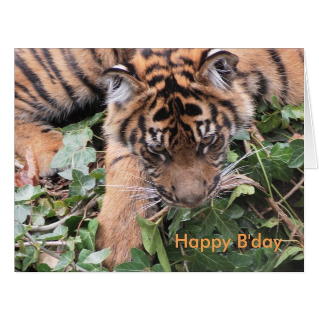 Expressions de caractères (Devant horizontal)