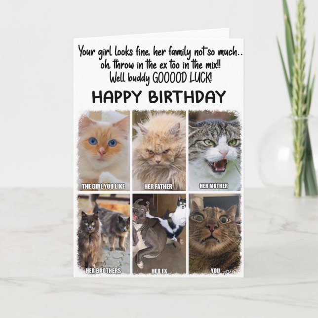 Expressions de chats amusantes Carte de voeux d'an (Devant)