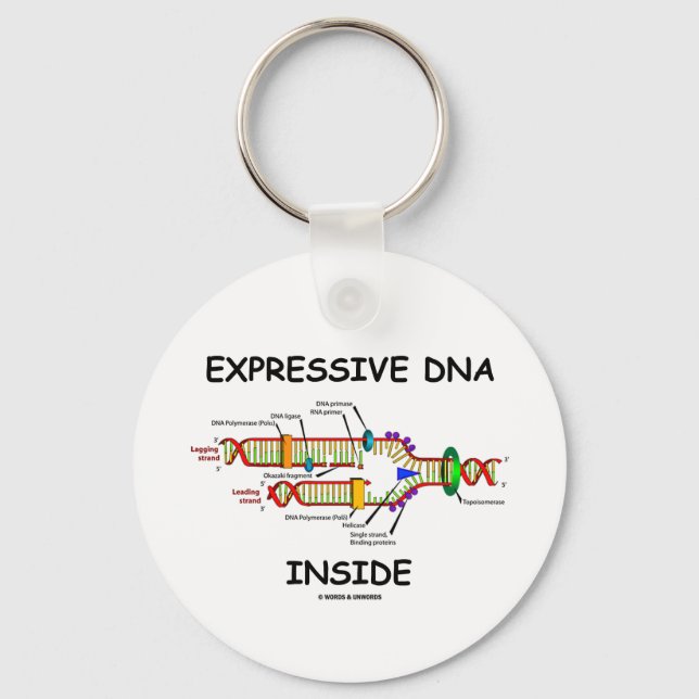 Expressive DNA Inside (DNA-Replikation) Schlüsselanhänger (Vorderseite)