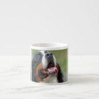 Tasse de spécialité de chien de Berner Sennenhund