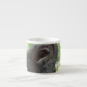 Expresso Tasse de spécialité de paresse d'escalade d'arbr