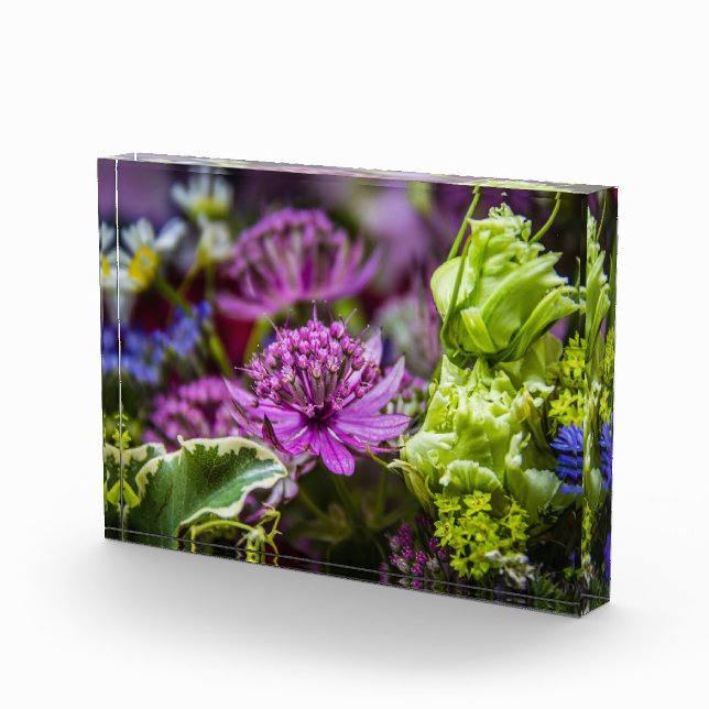 Exquisite Magie der Blüten #1 Fotoblock (Rechts)