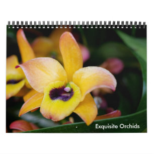 Exquisite Orchideen Kalender