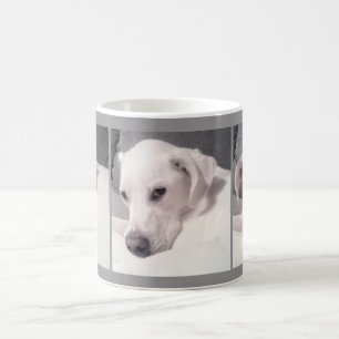 Exquisite Porträts eines schönen weißen Hundes Gra Kaffeetasse