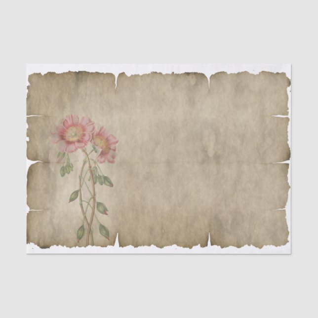 Exquisite rosafarbene Blume auf dem Papiertuchpapi Seidenpapier (Vorderseite)
