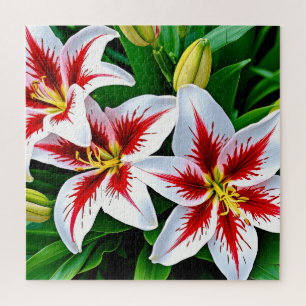 Exquisite weiße Lilien