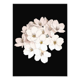 Exquisiter Kirschblüten-Kunst-Druck Fotodruck