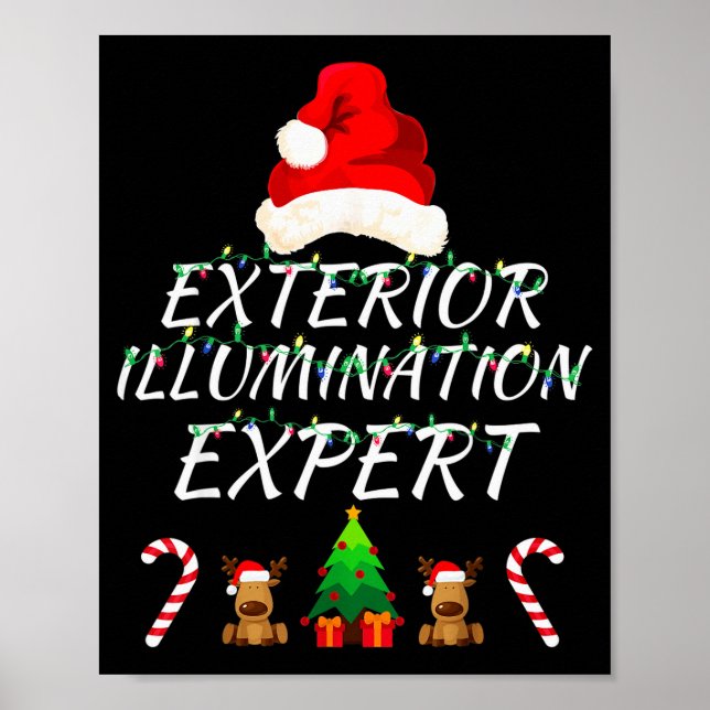 Exterior Illumination Expert Christmas Lights Deco Poster (Vorne)