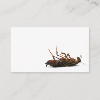 Exterminator-Visitenkarte Visitenkarte