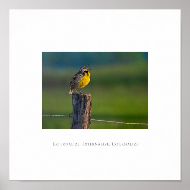 Externaliser, Externaliser, Externaliser Poster (Devant)