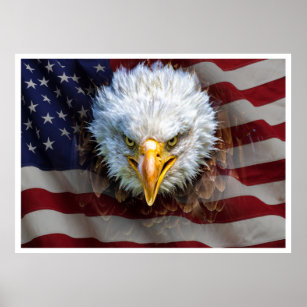 Extra Lg. Leistungsstarkes US-Adler-Flag-Poster Poster