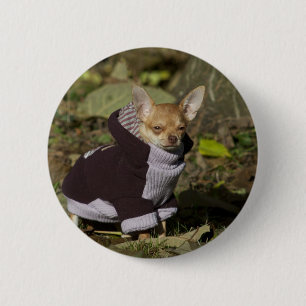 Extravagant Chihuahua Button