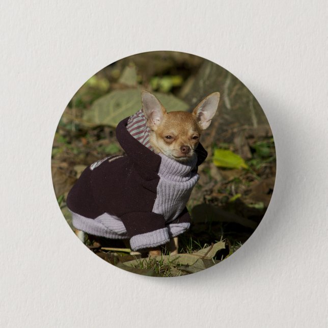 Extravagant Chihuahua Button (Vorderseite)