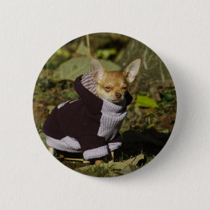 Extravagant Chihuahua Button