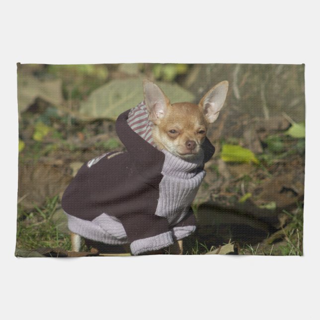 Extravagant Chihuahua Handtuch (Horizontal)