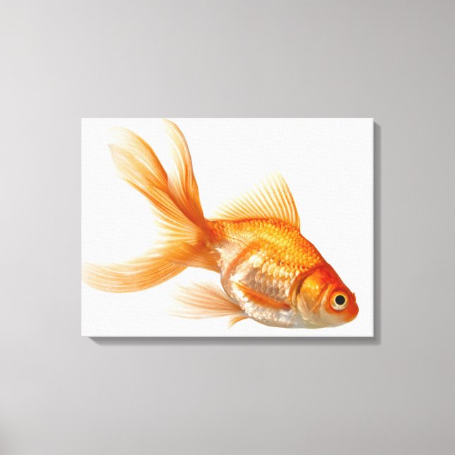 Extravagant Goldfish Leinwanddruck (Vorderseite)