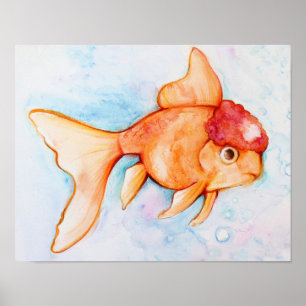 Extravagant Oranda Goldfish Poster