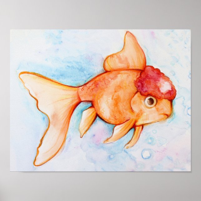 Extravagant Oranda Goldfish Poster (Vorne)