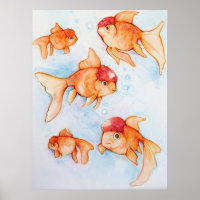 Extravagant Oranda Goldfish