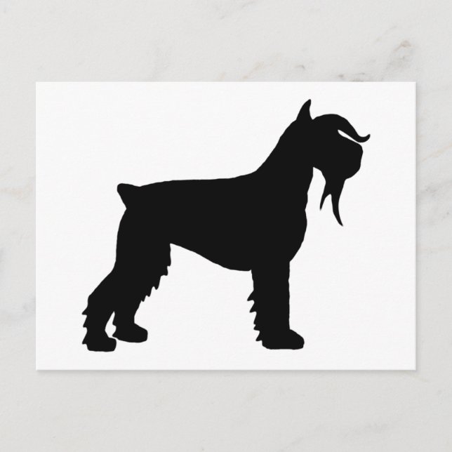 Extravagant Riant Schnauzer Postkarte (Vorderseite)
