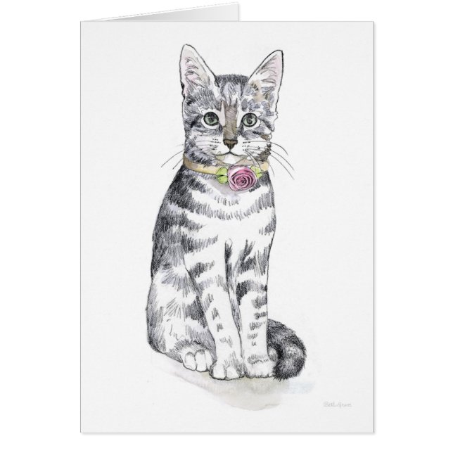 Extravagant Tabby Cat (Vorne)