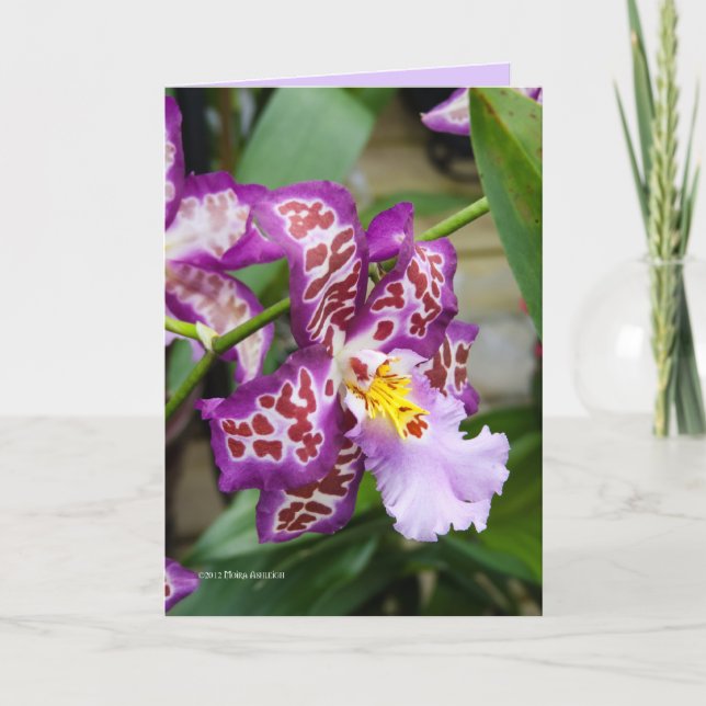 Extravagante Dame Orchid Karte (Vorderseite)