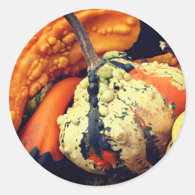 Extravagante Gourds-Natur Runder Aufkleber (Vorderseite)