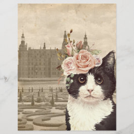 Extravagante Katze & Schlossbuch