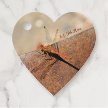 Extravagante Libellenhochzeit