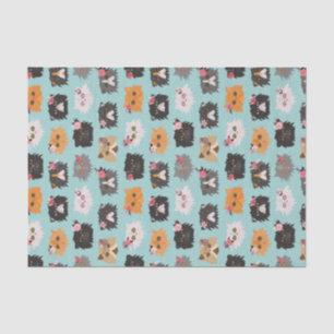 Extravagante persische Katzen Seidenpapier