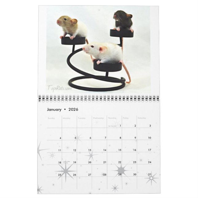 Extravagante Ratten - Kalender 2013 (Jan 2026)