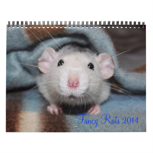 Extravagante Ratten - Kalender 2014 (Titelbild)
