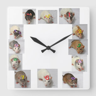 Extravagante Ratten-Uhr Quadratische Wanduhr