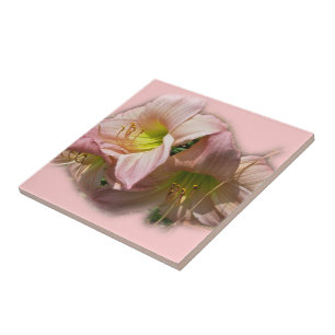 Extravagante rosa Taglilien Fliese