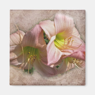 Extravagante rosa Taglilien Magnet