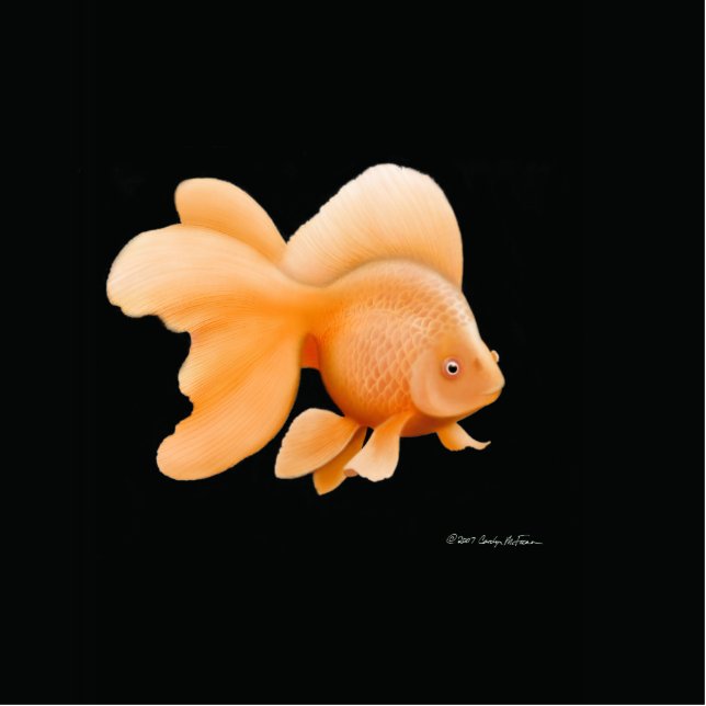Extravaganter FantailGoldfish Freistehende Fotoskulptur (Vorne)
