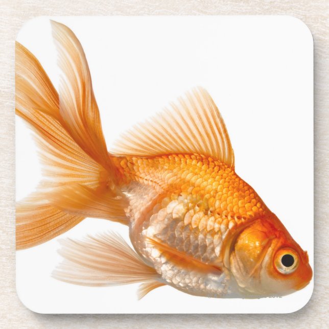 Extravaganter Goldfish Getränkeuntersetzer (Vorderseite)
