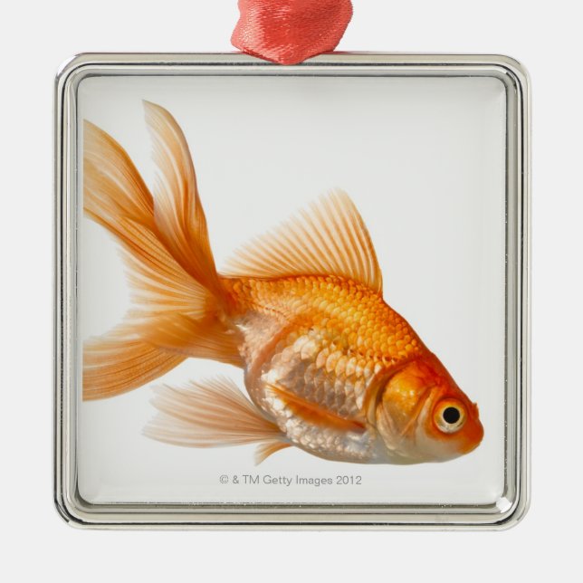 Extravaganter Goldfish Silbernes Ornament (Vorne)