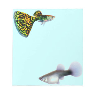 Extravaganter Guppieslivebearer-Fisch-Notizblock Notizblock