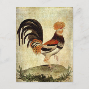 Extravaganter Raster Postkarte