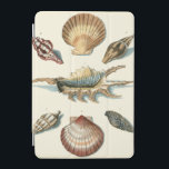 Extravaganter Strand der Muschel iPad Mini Hülle<br><div class="desc">George Wolfgang Knorr ist bekannt für seine feinen Details und die Präzision seiner Illustrationen von Muscheln und Seestern. Seine Zeichnungen wurden von seinem eigenen Interesse an der Wissenschaft beeinflusst,  einem beliebten Thema seiner Zeit.</div>