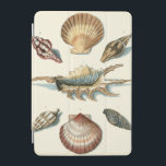 Extravaganter Strand der Muschel iPad Mini Hülle<br><div class="desc">George Wolfgang Knorr ist bekannt für seine feinen Details und die Präzision seiner Illustrationen von Muscheln und Seestern. Seine Zeichnungen wurden von seinem eigenen Interesse an der Wissenschaft beeinflusst,  einem beliebten Thema seiner Zeit.</div>