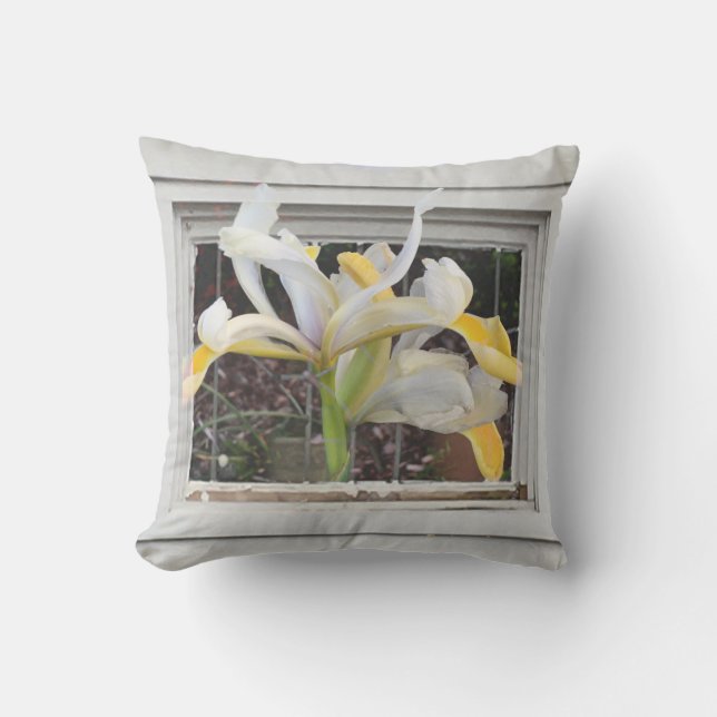 Extravaganter Tulip im Foto-Kissen Kissen (Vorderseite)