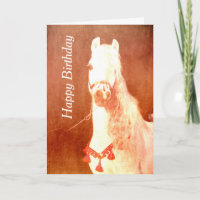 Extravaganter White Circus Pony Vintag Sinti und R
