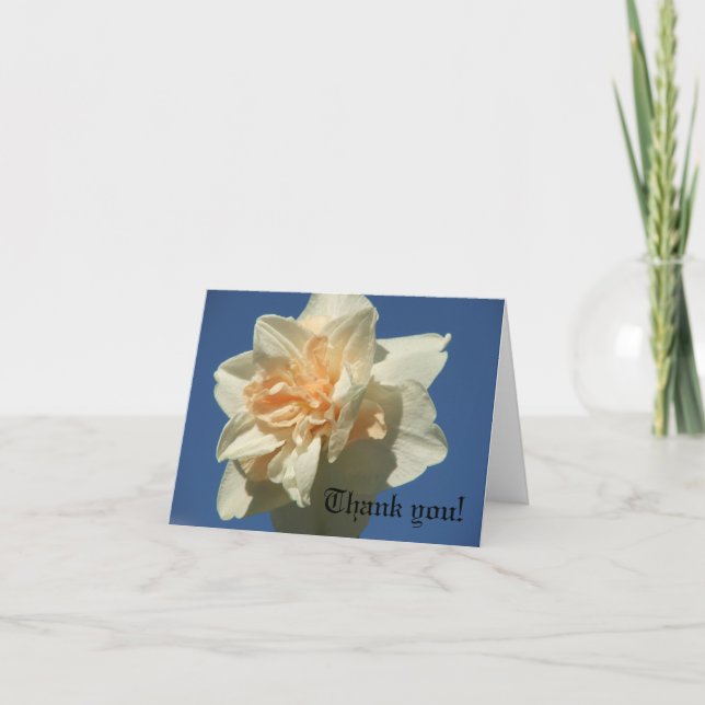 Extravagantes Daffodil Dankeskarte (Vorderseite)