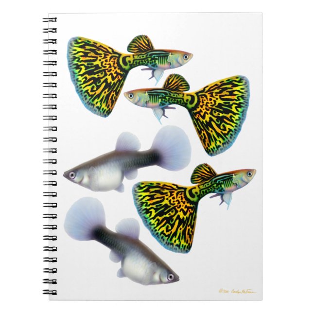 Extravagantes Fantailguppies-Notizbuch Notizblock (Vorderseite)